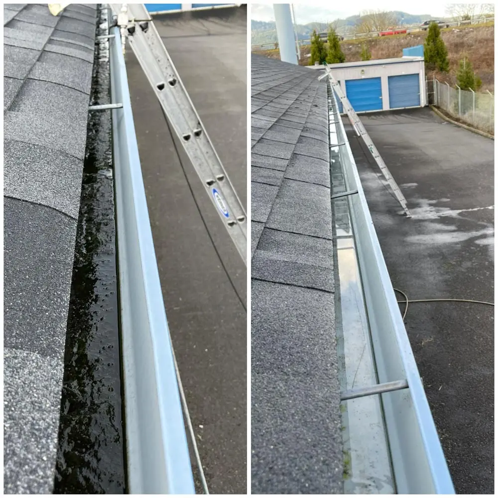 gutter-cleaning-05.jpeg